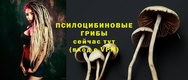 стафф Балахна