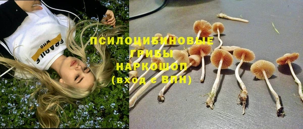 PSILOCYBIN Зеленодольск