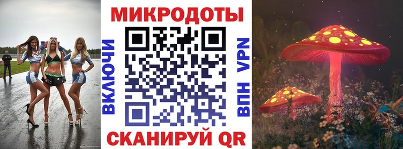 что такое   Петровск-Забайкальский  Псилоцибиновые грибы Psilocybine cubensis 